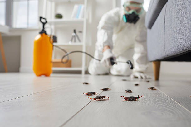 Commercial Kitchen Cockroach Control in California Polytechnic State University